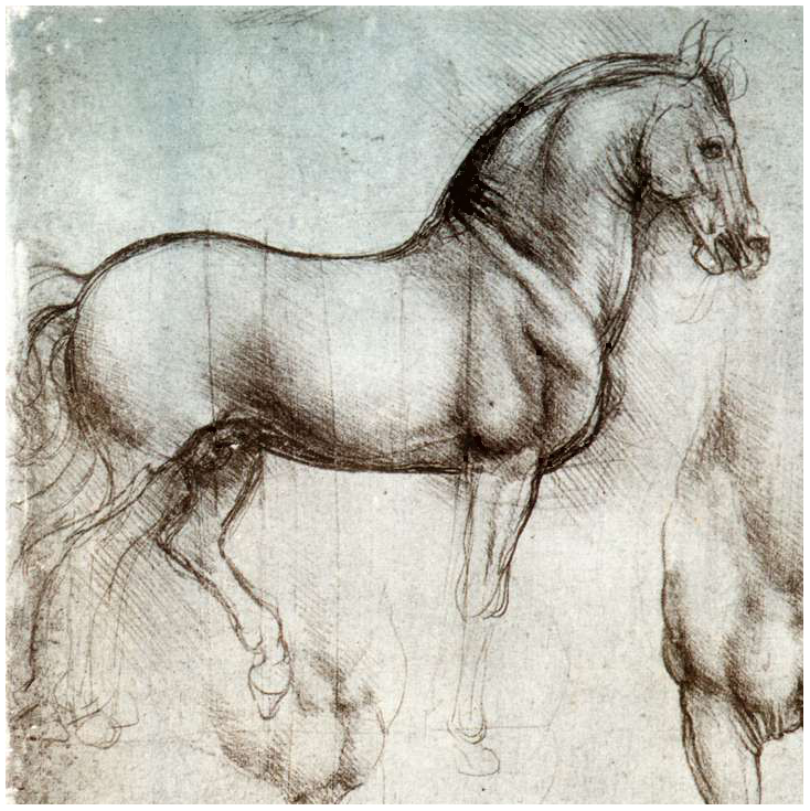 Jason OCA Art Course: Research : Leonardo and Dürer ...